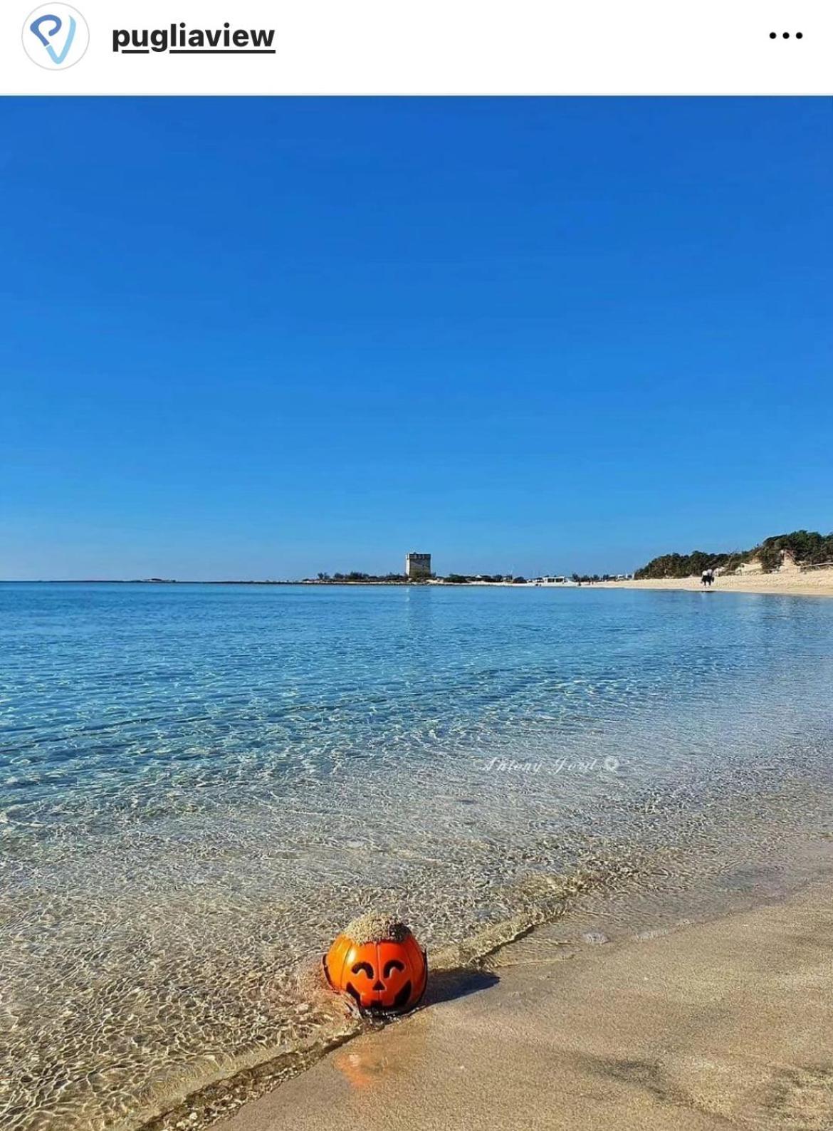 Trullo Antelmi Villa Ceglie Messapica Esterno foto